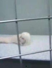 娱乐爆料搞笑,笑料百出！娱乐圈爆笑瞬间大盘点